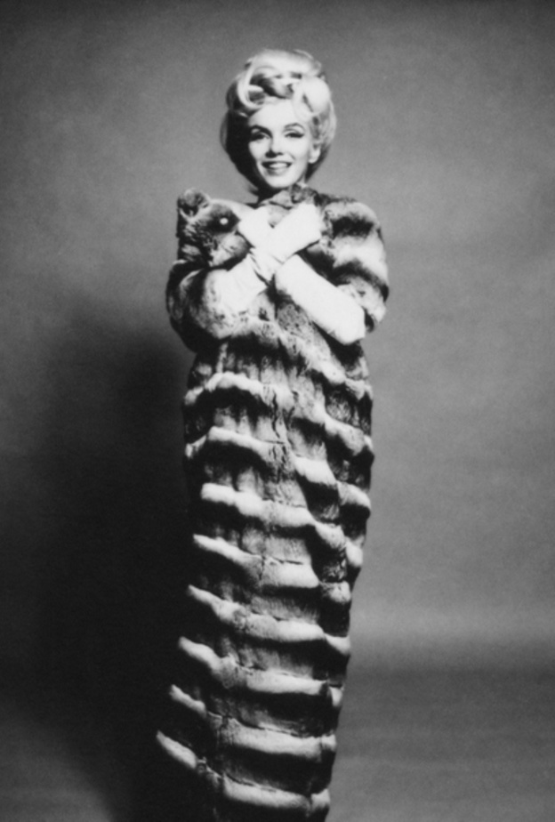Marilyn in Chinchilla