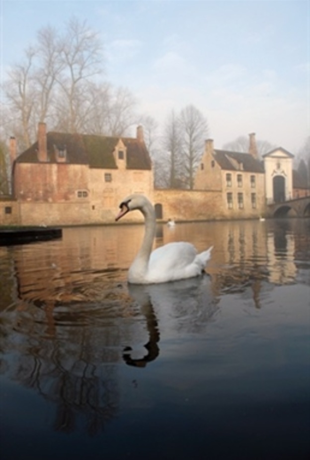 Swan Lake