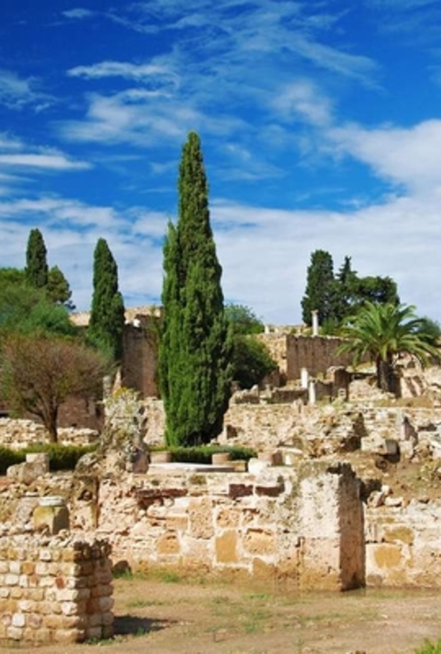 ruins of roman villas in Carthage