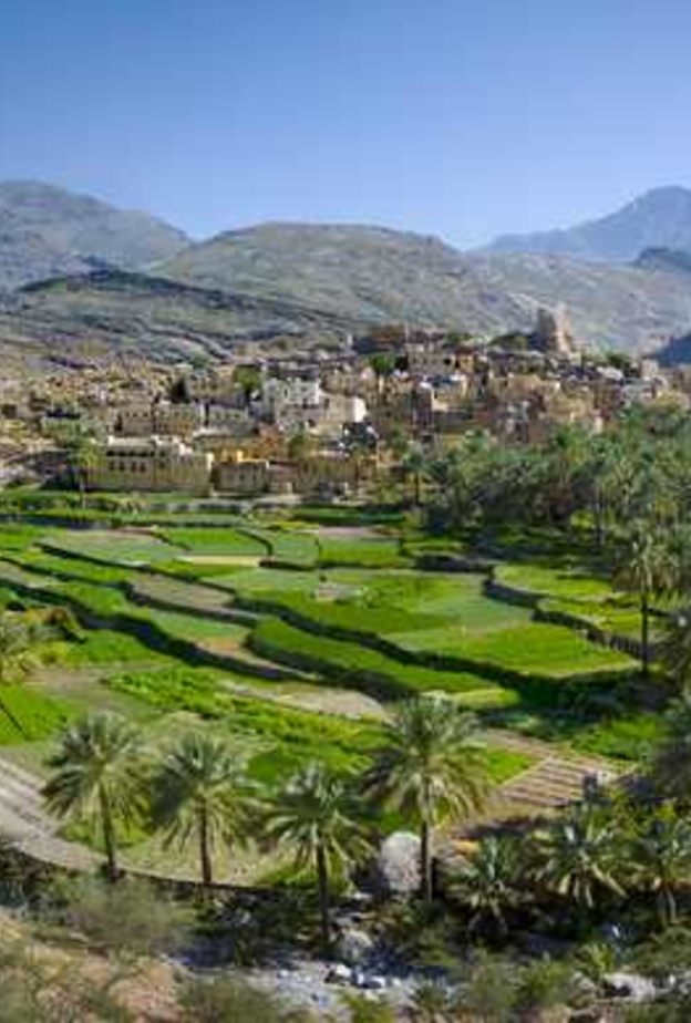 واحة بهلاء