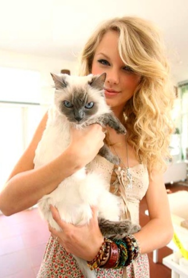 Meredith Swift قطة تايلور سويفت