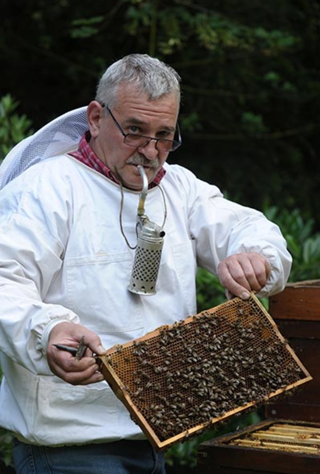 السيد كولب المسؤول الاول عن العناية بالنحل