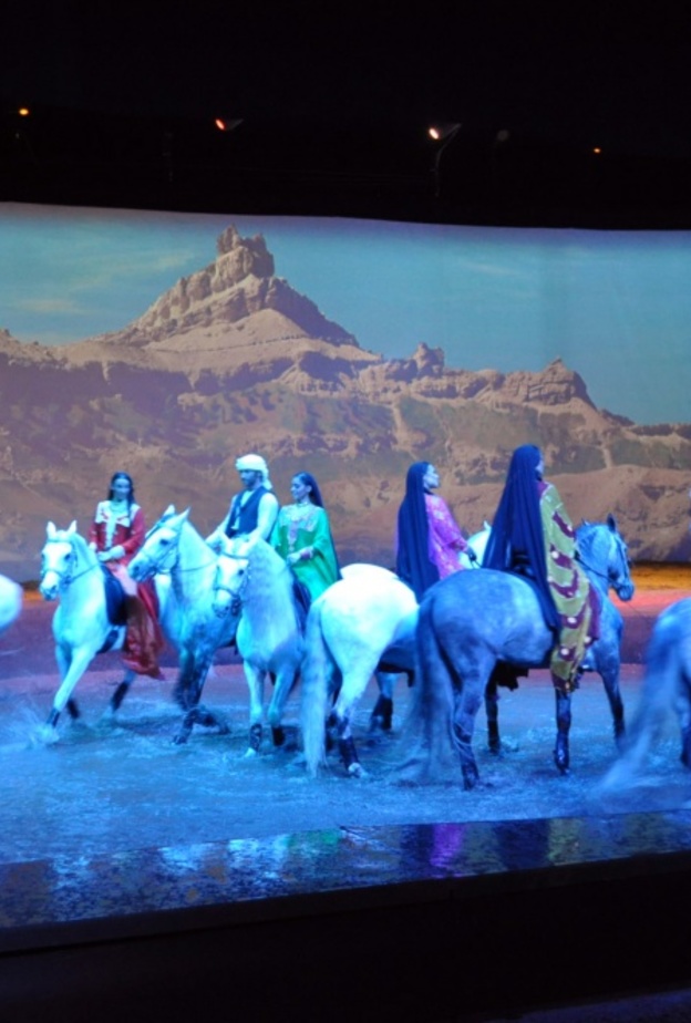 تناغم الحركات تدل على التدريب المتقن للأحصنة