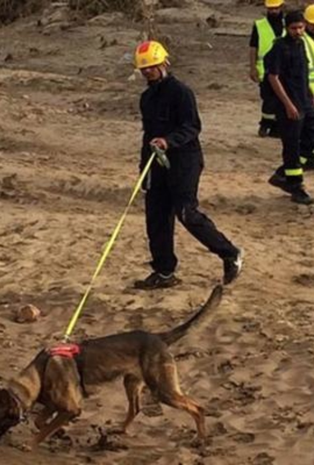 كلاب بوليسية للبحث عن طفلتين غرقت أسرتهما بوادي طريف