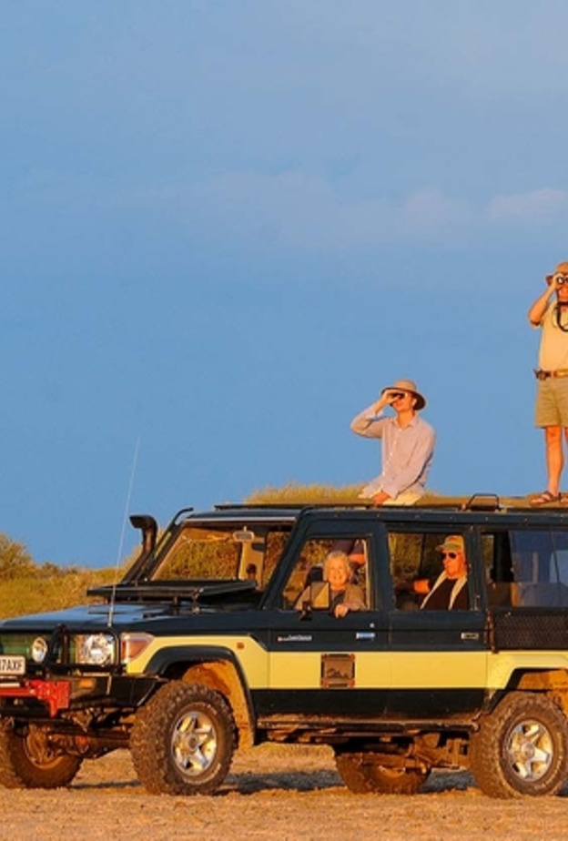 وجهات سياحية للراغبين بمشاهدة الحيوانات البرية