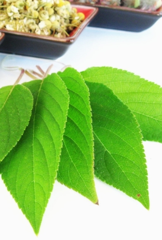 الاعشاب ستساعدك للتخلص من السموم والسوائل الزائدة .