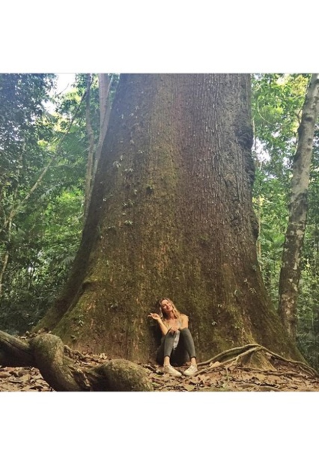 من مجموعة غوتشي كروز 