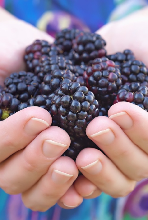 يقدم لك الارز الاسمر كمية من الالياف اكبر من الابيض