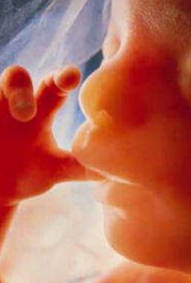 هل يستطيع الجنين التمييز بين صوت الرجل وصوت المراة