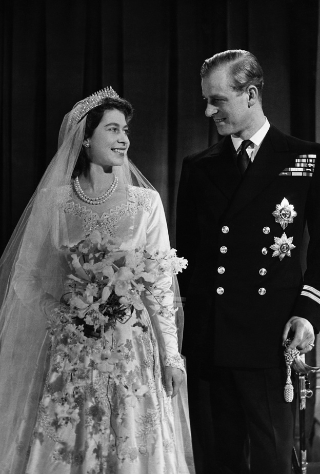 الأوركيد Orchids