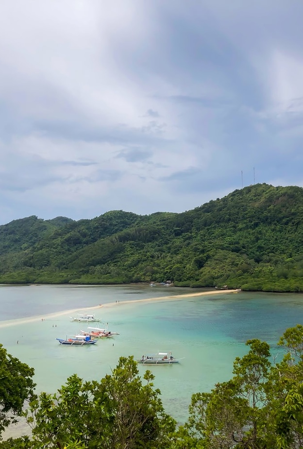 جزيرة الأفعى Snake Island Carla Francisco