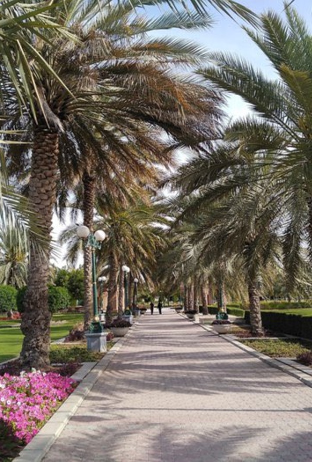حديقة العليا Olaya Park