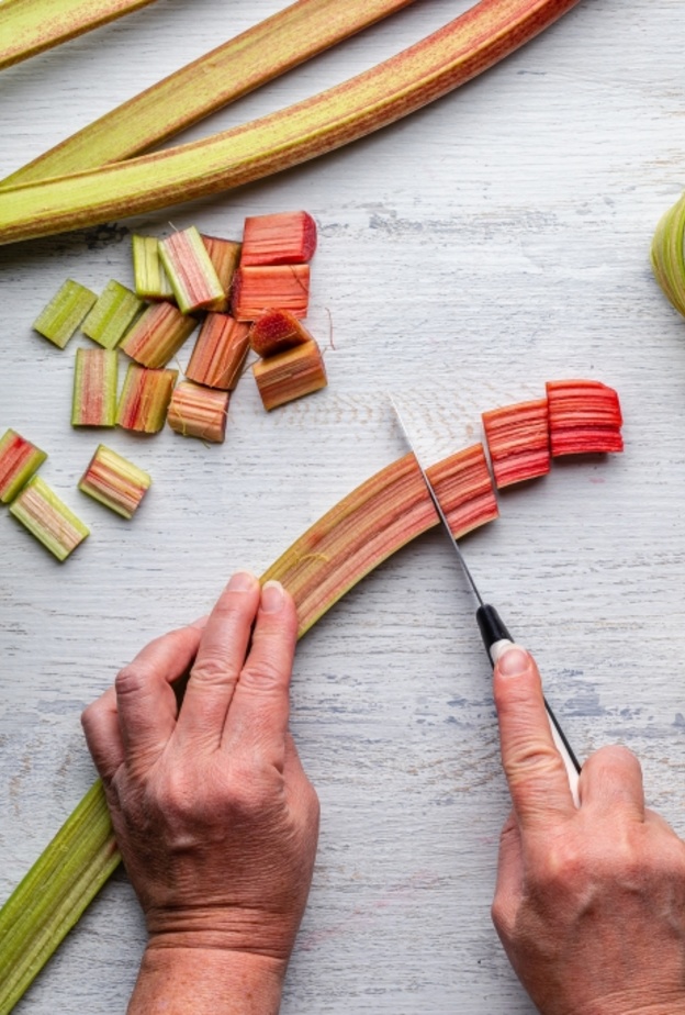  فوائد عشبة الراوند للكبد