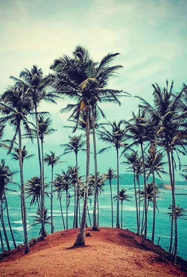 شاطئ ميريسا Mirissa Beach