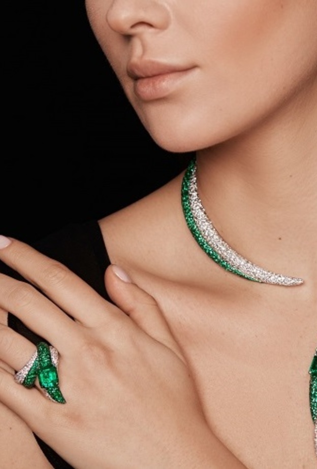 صورة من من فواز غرويوزي