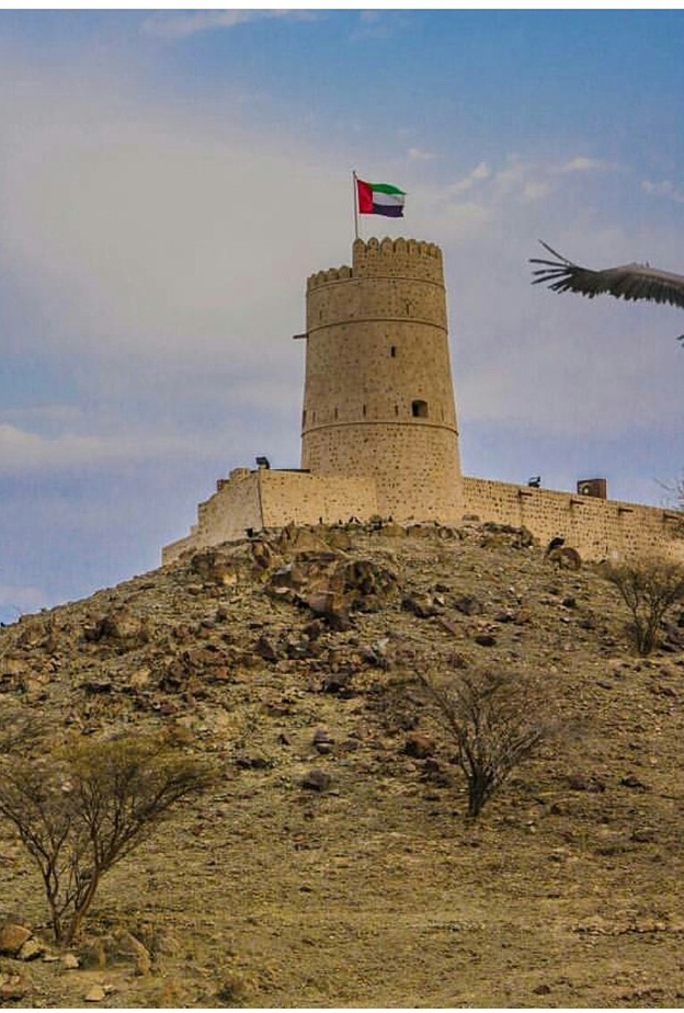  قلعة الغيل ولقطة ساحرة - المصدر yousifali191.