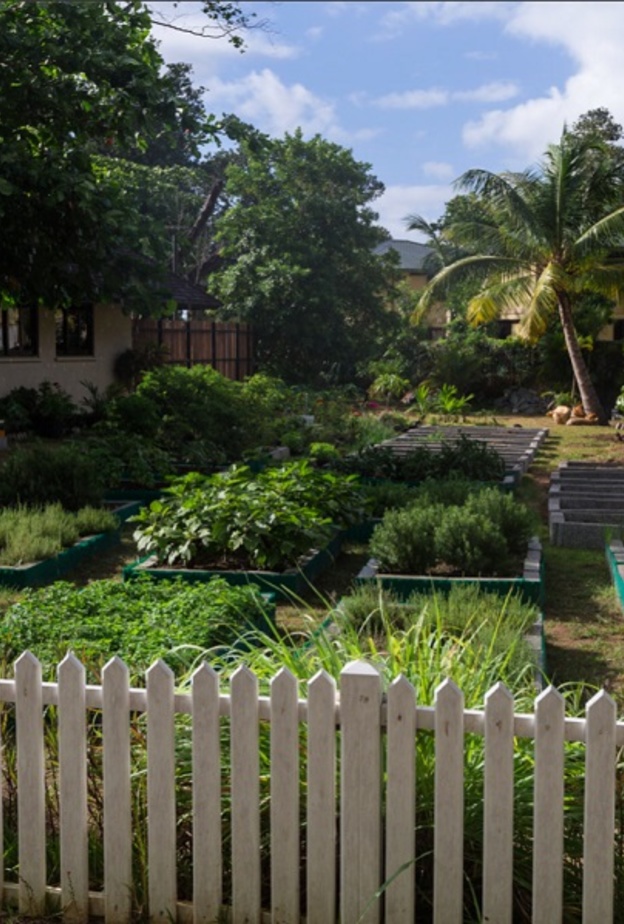 مجموعات ضيافة تعزّز مبادراتها المستدامة