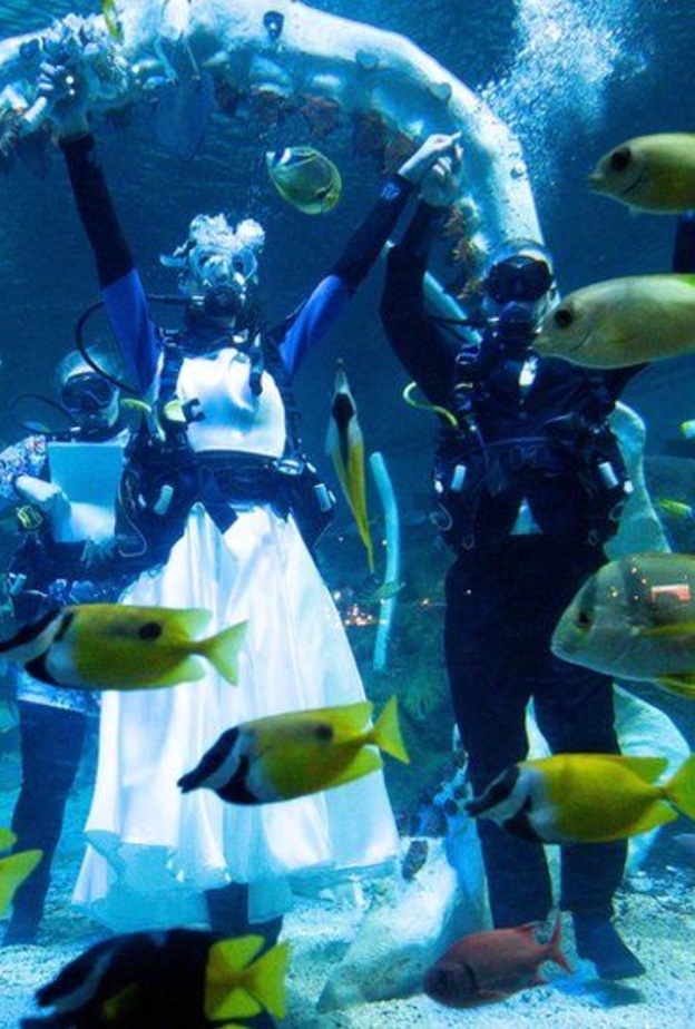 مراسم زواج في حوض أسماك تحت الماء