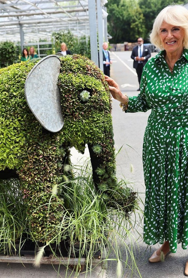 كاميلا وصوفي تتألقان بفستان متشابه