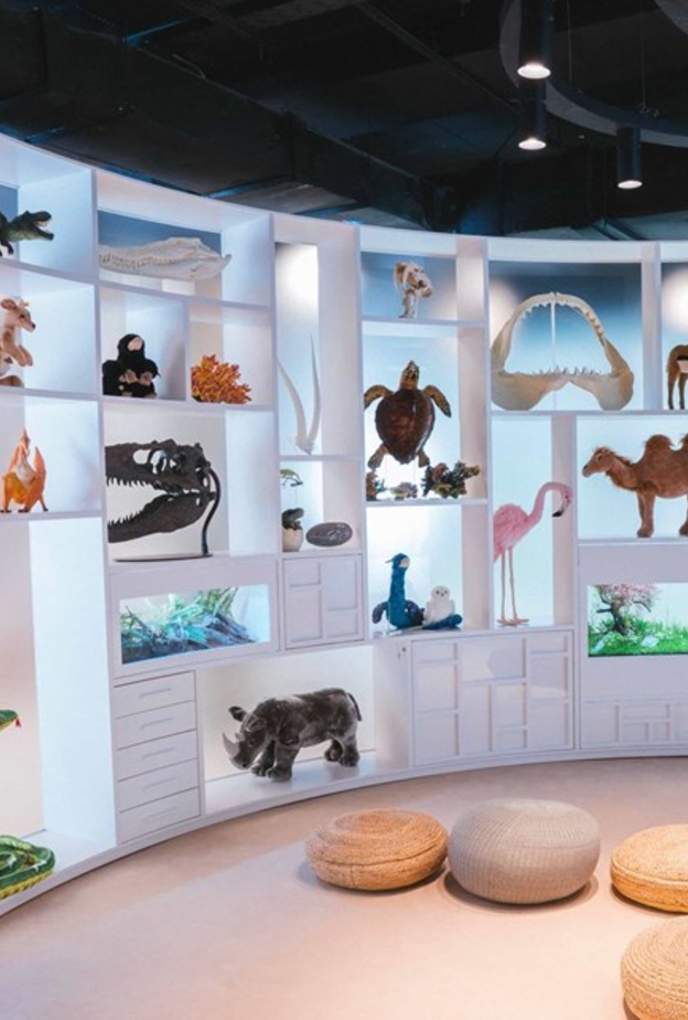 مكتبة أبوظبي للأطفال.. وجهة ثقافية مميزة ومساحات ترفيهية متنوعة للصغار