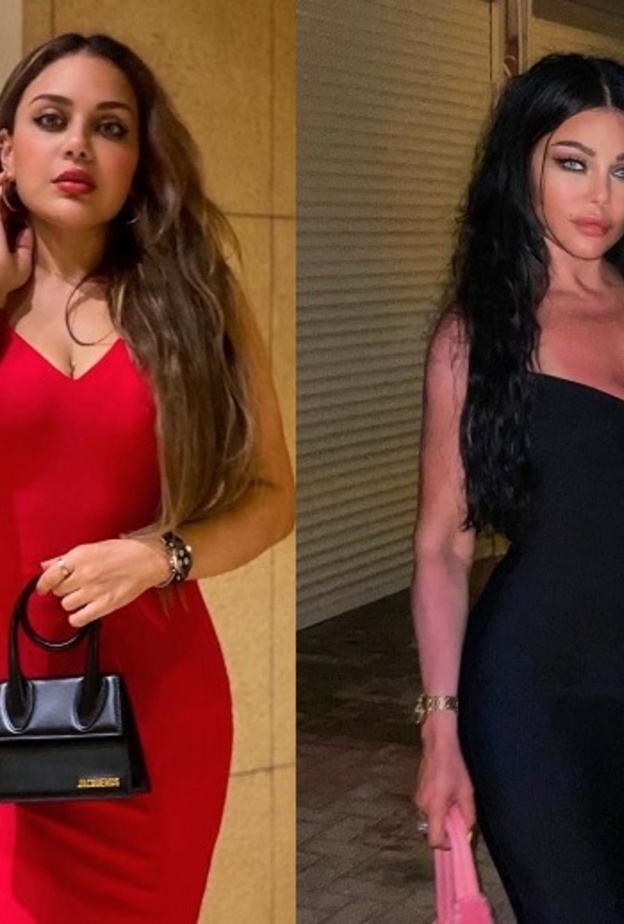 هيفاء وهبي وزينب فياض