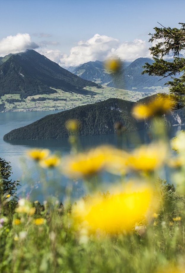  جبل "ريغي” الشامخ