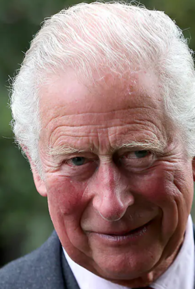 الأمير تشارلز يتحدث عن مشروعه الجديد