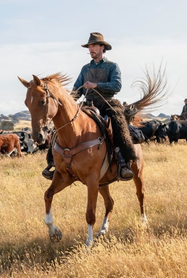 لقطة من فيلم The Power of the Dog