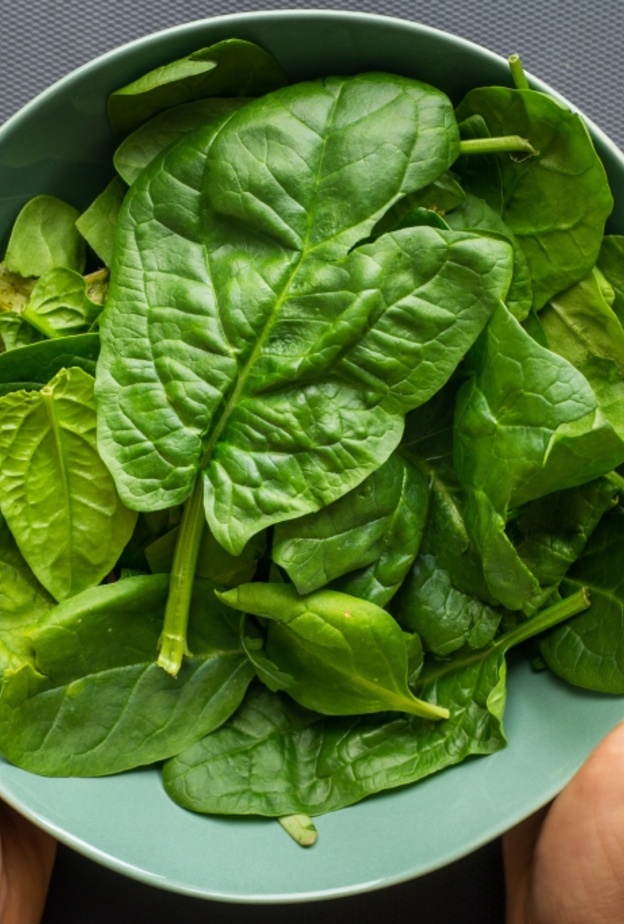 دراسة: السبانخ وتأثيره على سرطان القولون