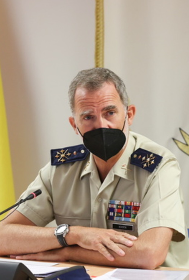 الملك فيليب يتابع آخر تطورات أزمة ثوران بركان لا بالما