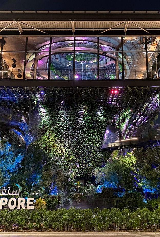 جناح سنغافورة في إكسبو 2020.. تصميم ساحر وألوان تأسر القلوب - المصدر وكالة أنباء الإمارات