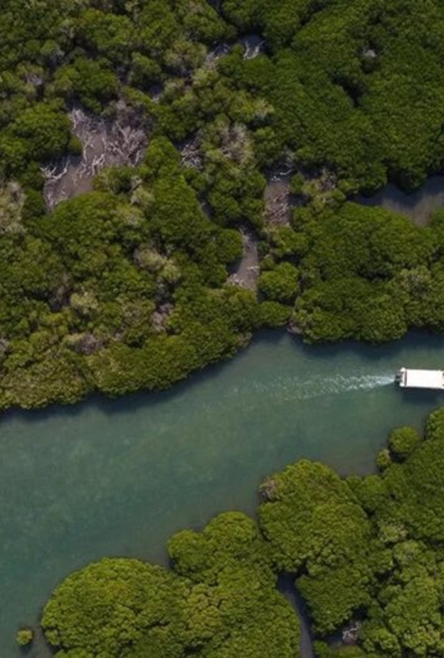 استكشف الطبيعة الخلابة في أرخبيل جزر فرسان - المصدر روح السعودية