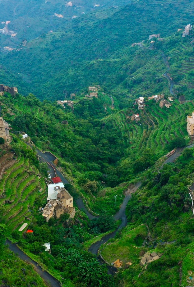  الخضرة ترسم أجمل اللوحات على سفوح جبال فيفا - المصدر @osvideographer