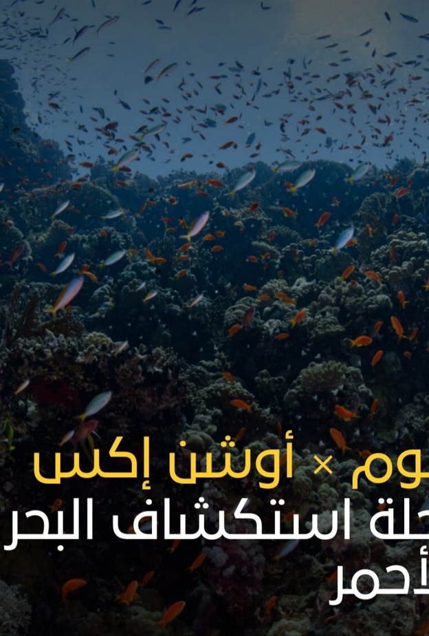 بالفيديو: شاهدوا رحلة "نيوم × أوشن إكس" لاستكشاف البحر الأحمر وكنوز وعجائب "نيوم" في الأعماق