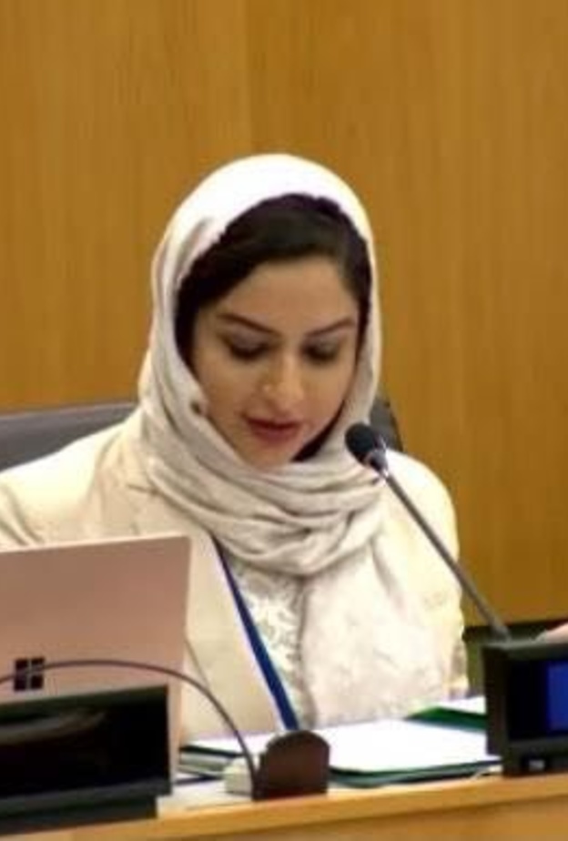 الكتابة والدبلوماسية نداء أبوعلي - المصدر حساب نداء في توتر