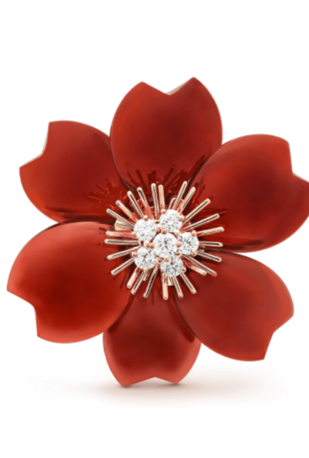 بروش من فان كليف اند آربلز Van Cleef & Arpels