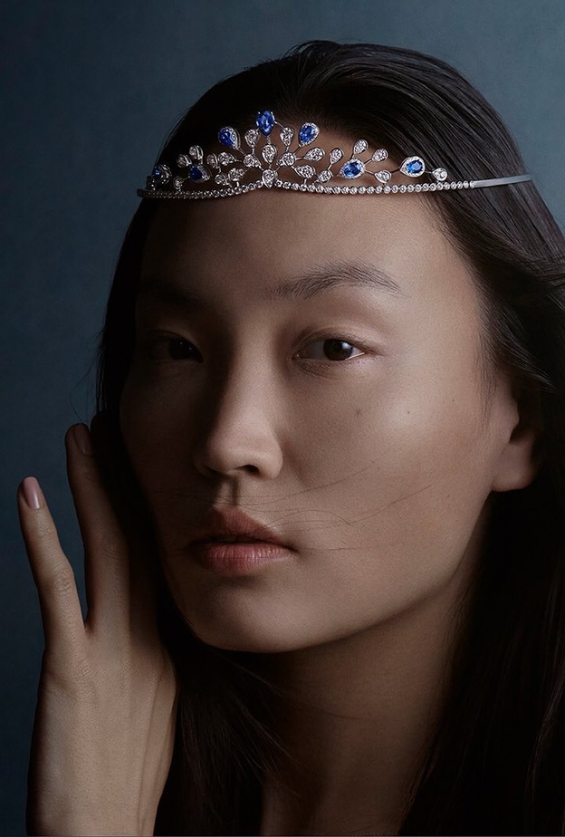 تاج oséphine Aigrette Impériale tiara من Chaumet