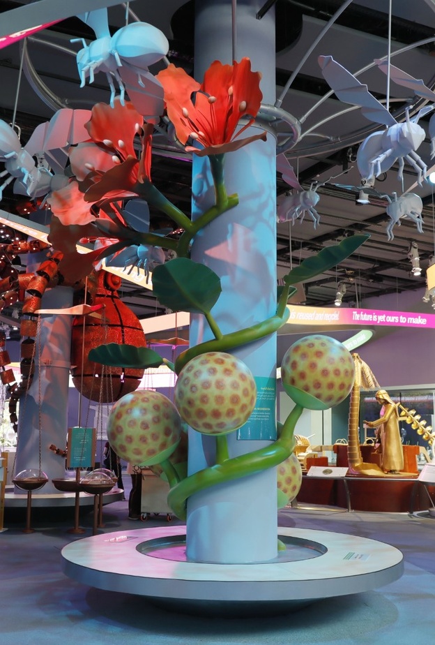 تجربة ساحرة تنتظر الزوار في تيرا - المصدر وكالة أنباء الإمارات 