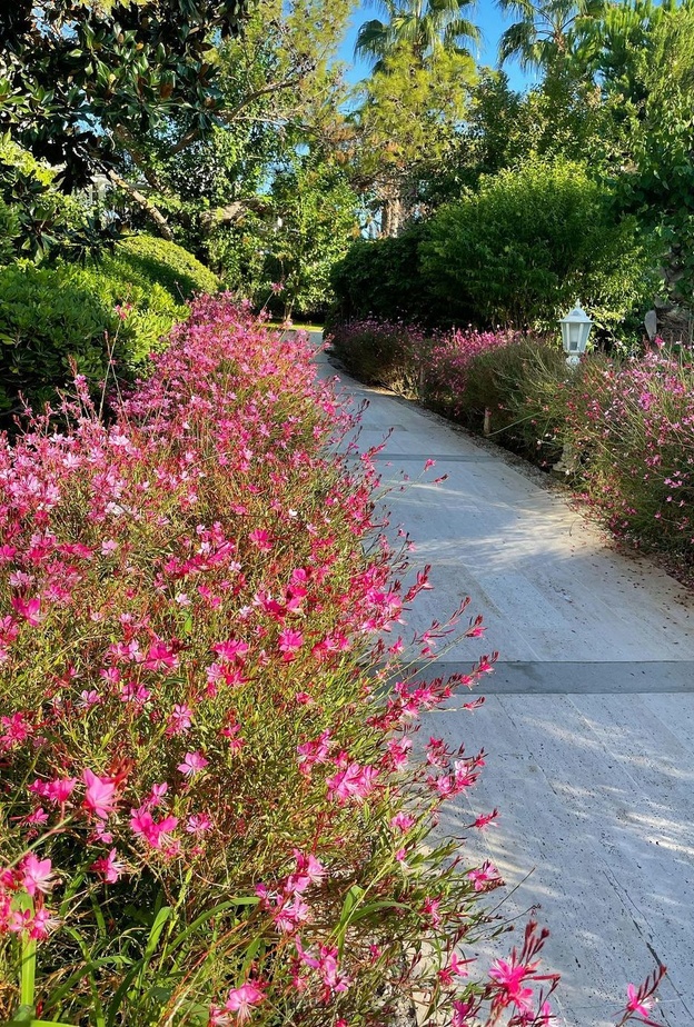 حديقة الملكة نور Queen Noor Park، الزرقاء