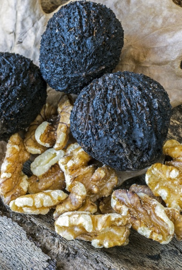 ماهو الجوز الأسود وما فوائده الصحية