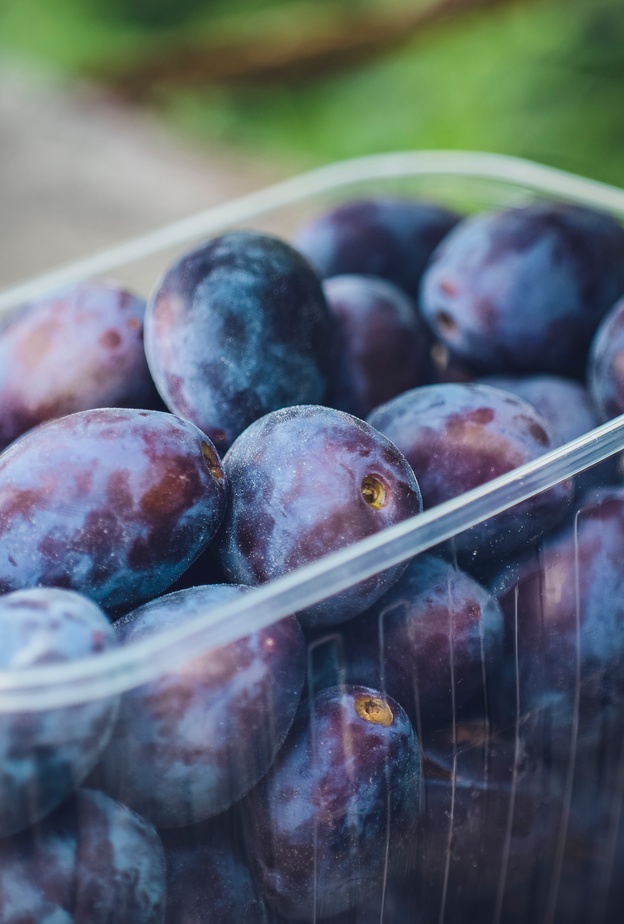 ماهي فوائد القراصيا المجففة للإمساك