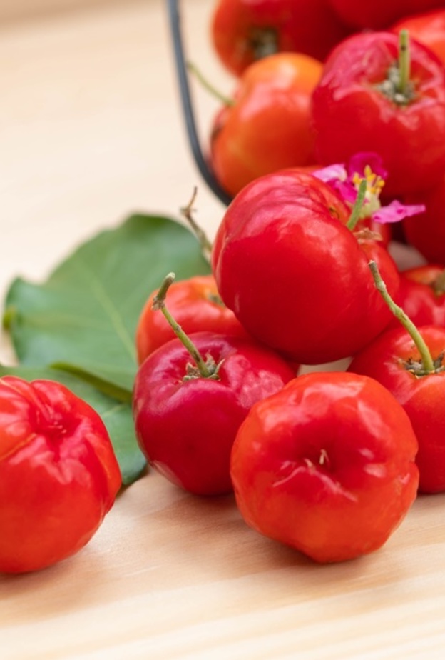 ماهي فوائد الكرز الهندي