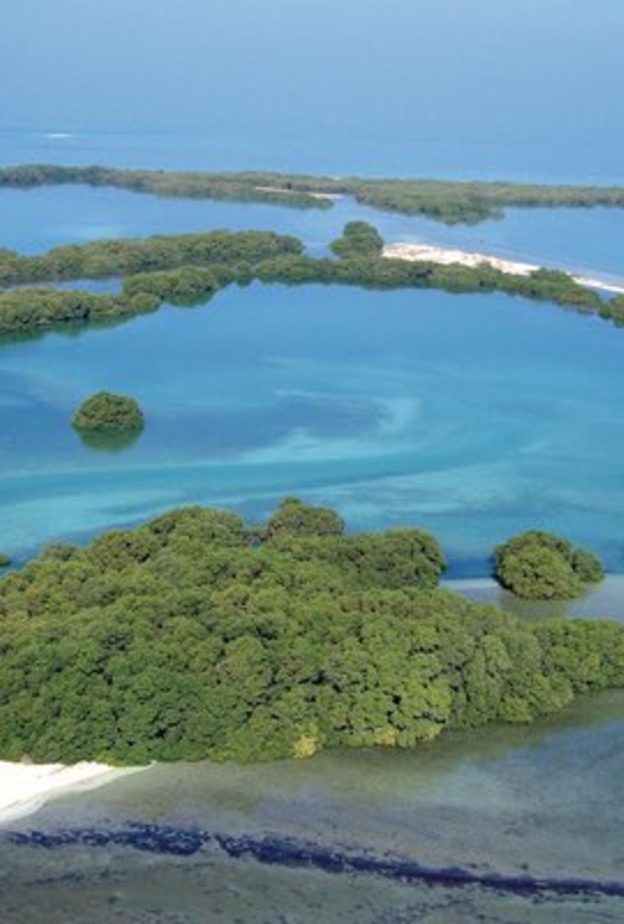 صورة ساحرة لمحمية مروح البحرية - المصدر ALshamsiaaaa.