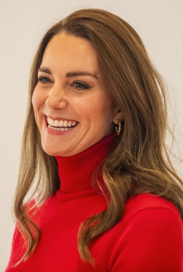 من الحوت إلى القوس.. تعرف على أبراج أفراد العائلات الملكية التي توافق برجك؟