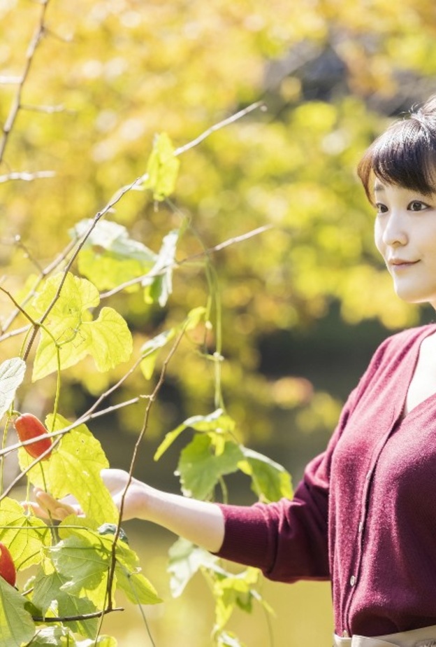 من الملكية إلى زوجة من عامة الشعب.. قصة كفاح الأميرة اليابانية ماكو للزواج من حب حياتها