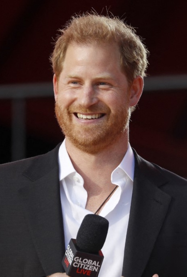 هاري يجري مكالمة مؤثرة مع قدامى المحاربين