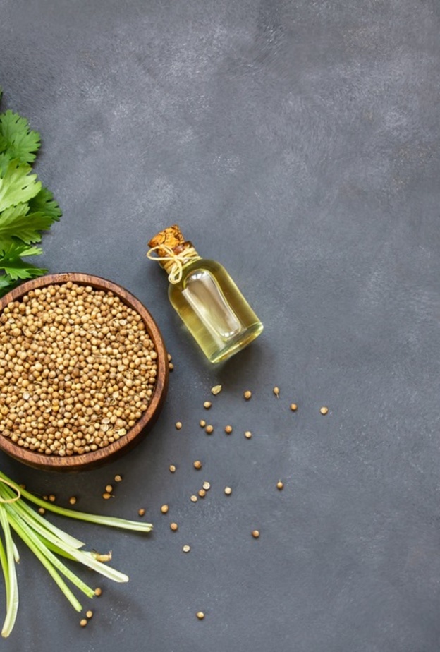 7 فوائد للكزبرة الخضراء للقلب والمعدة والمناعة