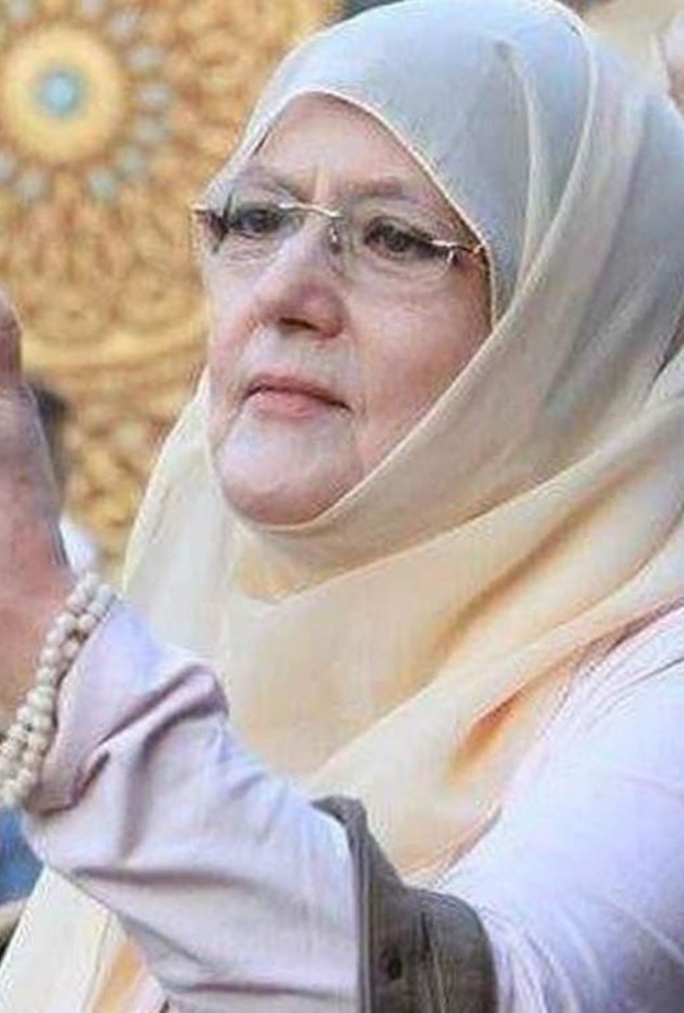 شمس البارودي