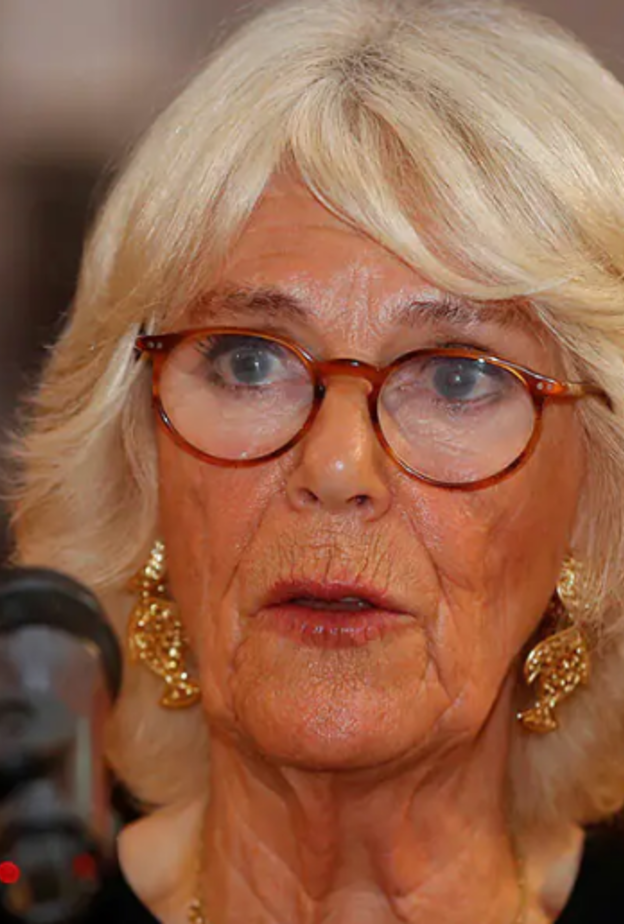 دوقة كورنوال تطالب بأنهاء العنف ضد النساء في كلمة قوية