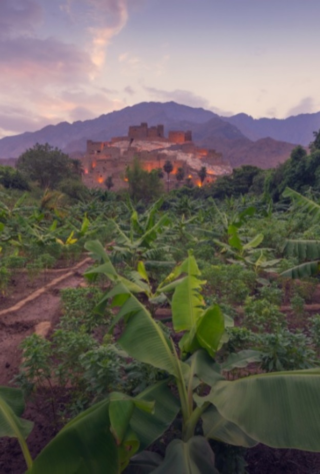 أرض الباحة غنية بالخيرات، ومحاطة بأجمل التضاريس - المصدر روح السعودية